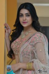 Avantika Mishra at Vaishakham Movie Audio Launch